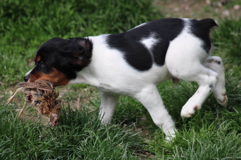 Vidoc De La Vallée De La Py