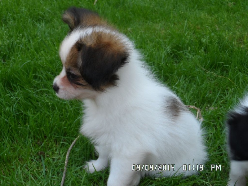 Jepp De La Vallée De La Py