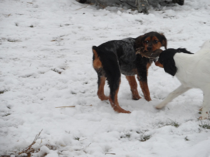 Harper De La Vallée De La Py