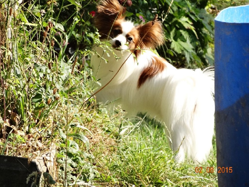 Jepp De La Vallée De La Py