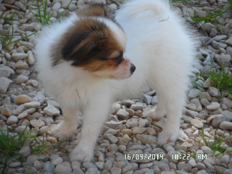 Jepp De La Vallée De La Py