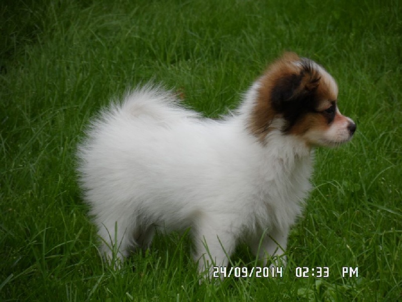 Jepp De La Vallée De La Py