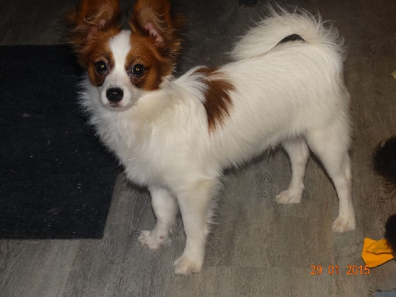 Jepp De La Vallée De La Py