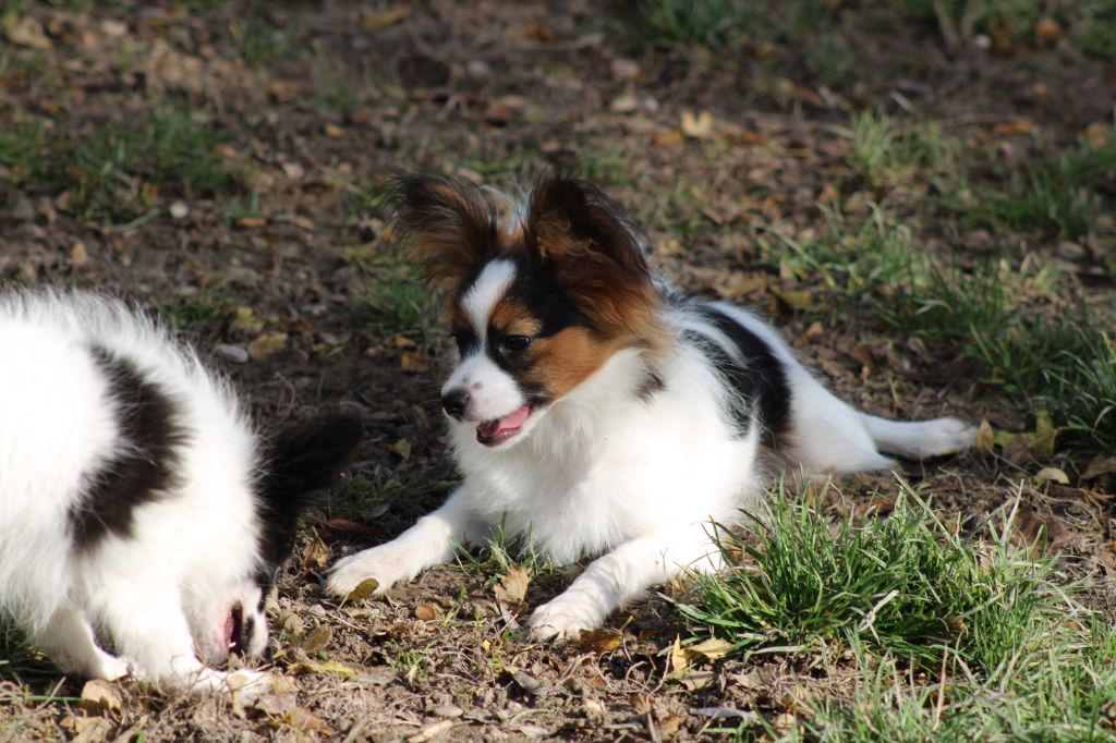 Ricky De La Vallée De La Py