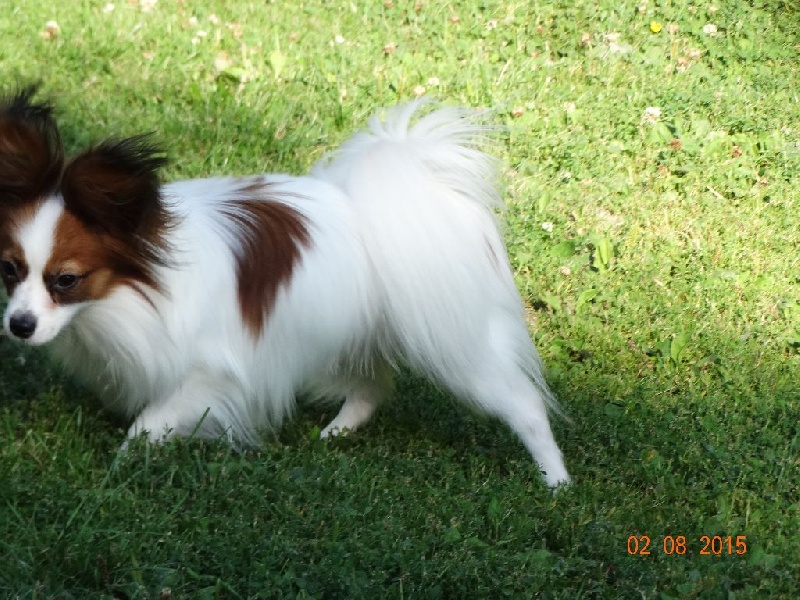 Jepp De La Vallée De La Py