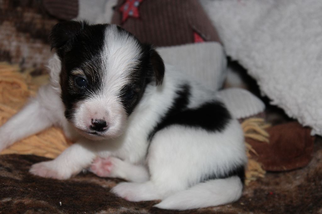 Ricky De La Vallée De La Py