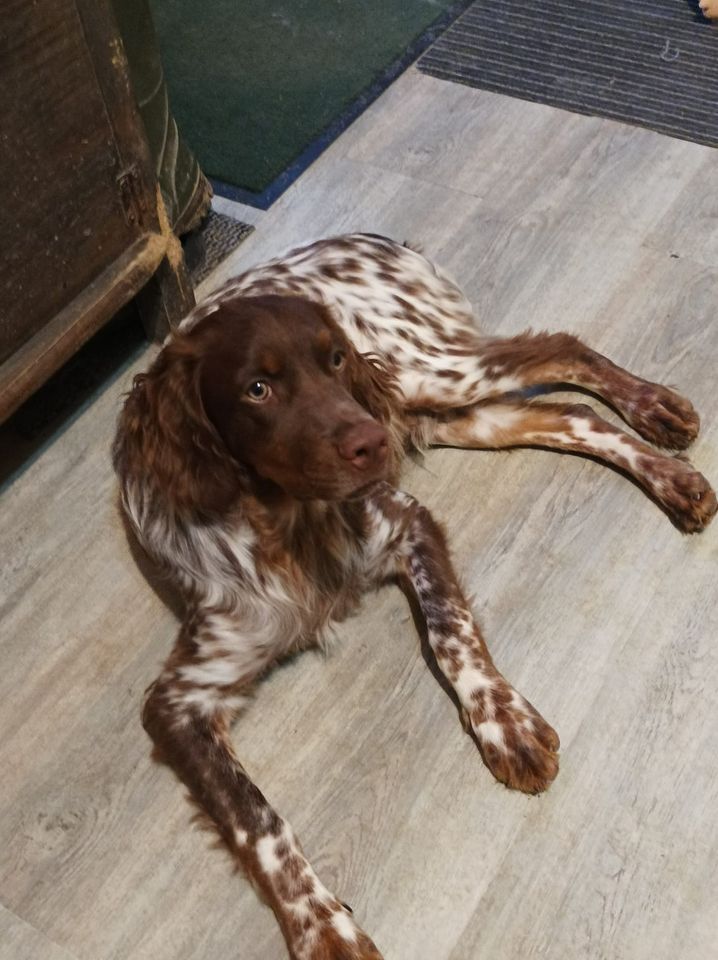 Toto De La Vallée De La Py