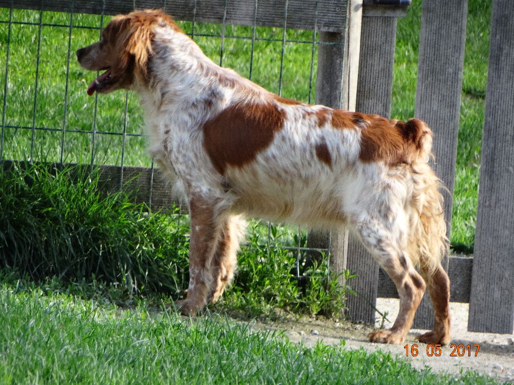 Hulma De La Vallée De La Py