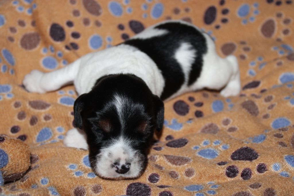 Vidoc De La Vallée De La Py