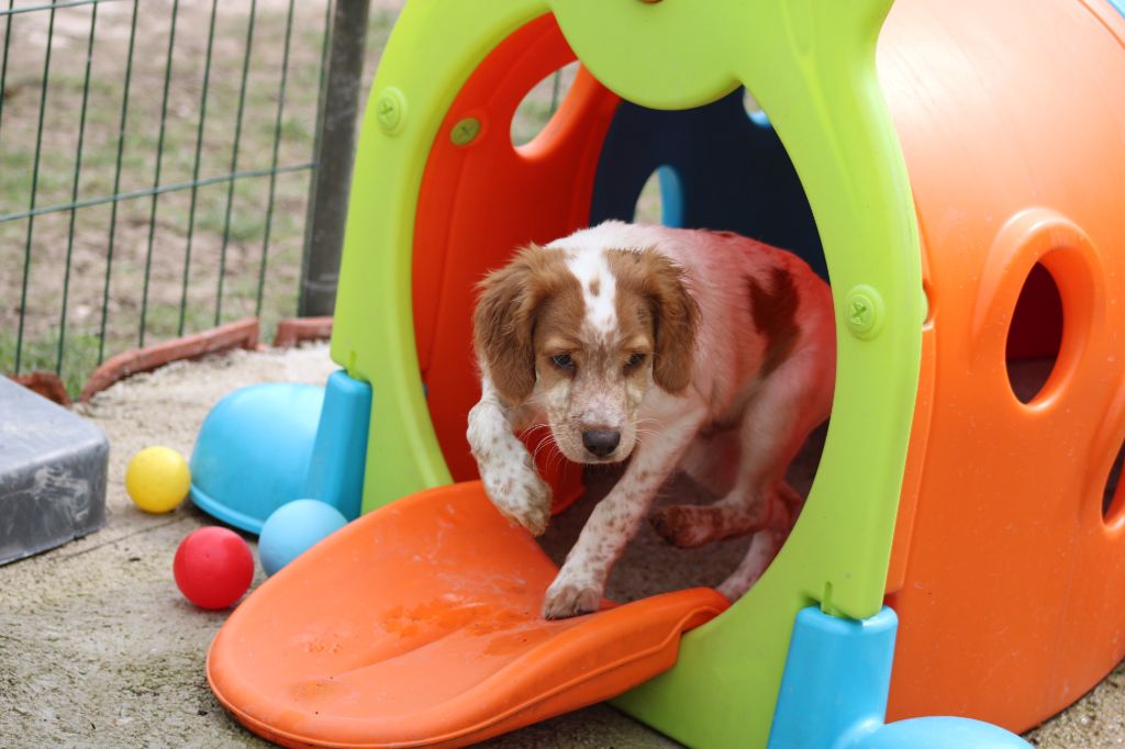 Tcho De La Vallée De La Py