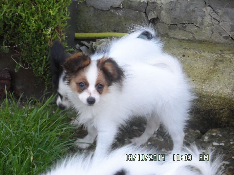 Jepp De La Vallée De La Py