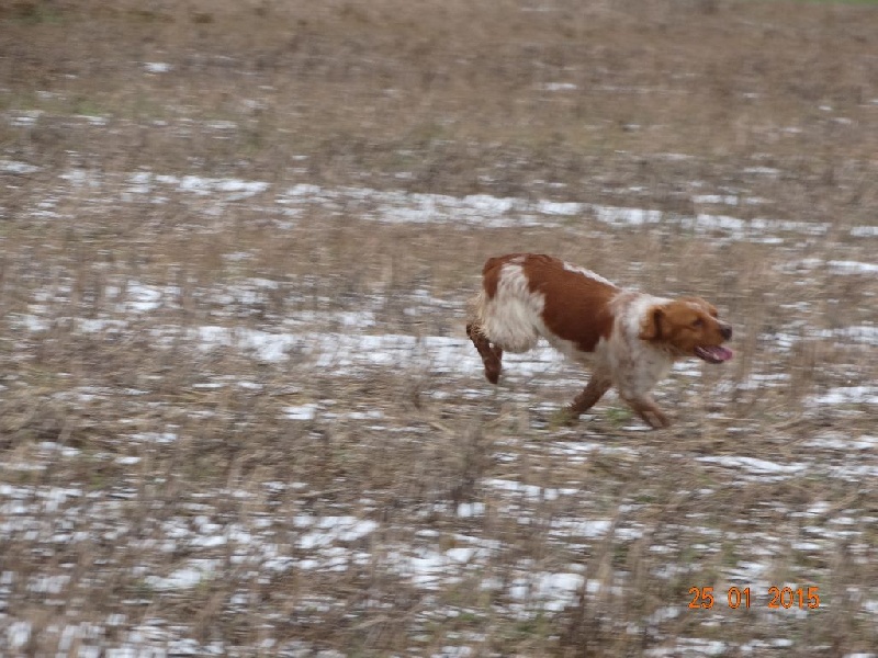 Hulma De La Vallée De La Py