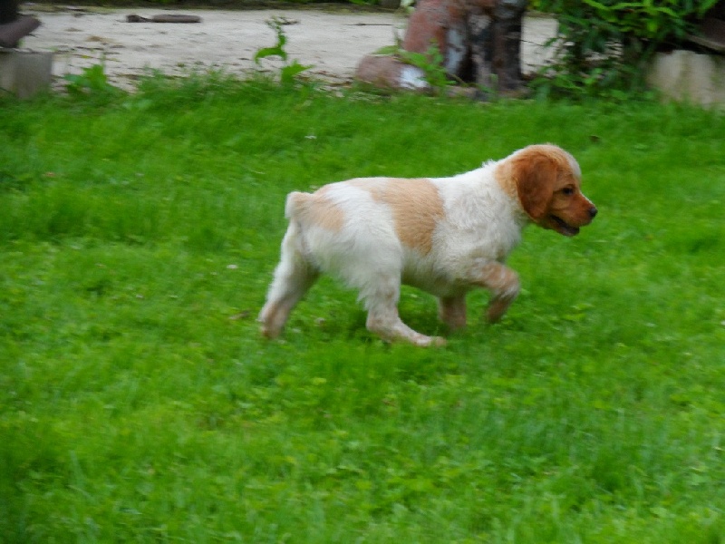 Hulma De La Vallée De La Py