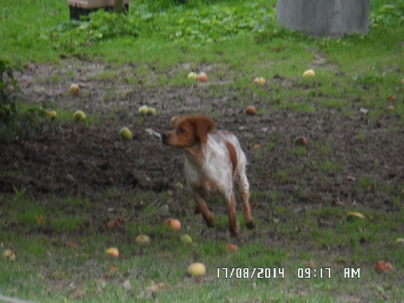 Hulma De La Vallée De La Py