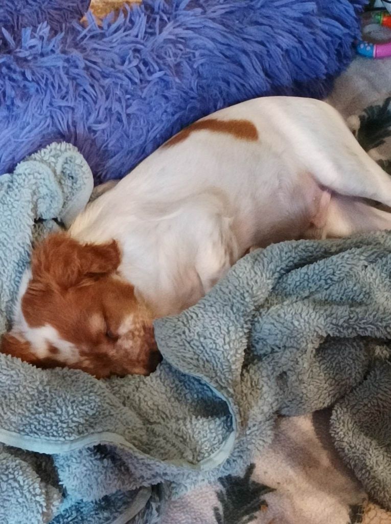 Tcho De La Vallée De La Py