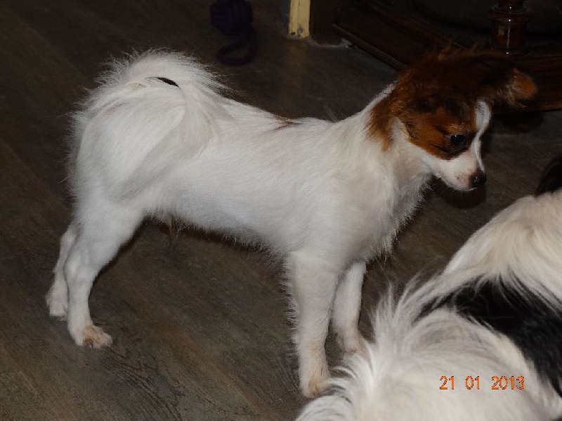 Jepp De La Vallée De La Py