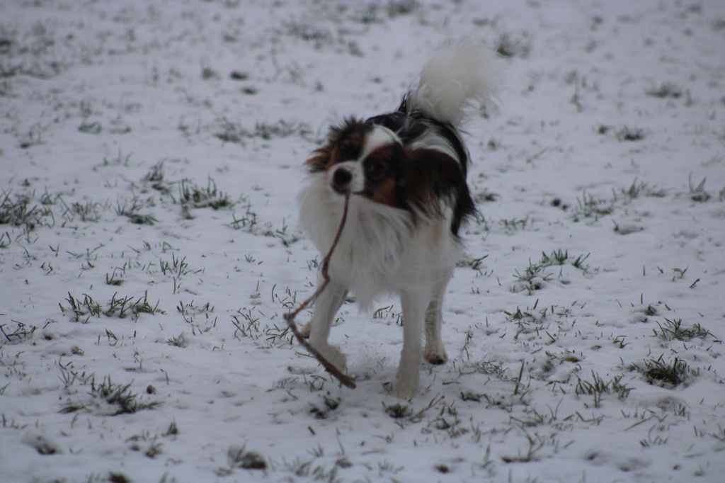 Ricky De La Vallée De La Py