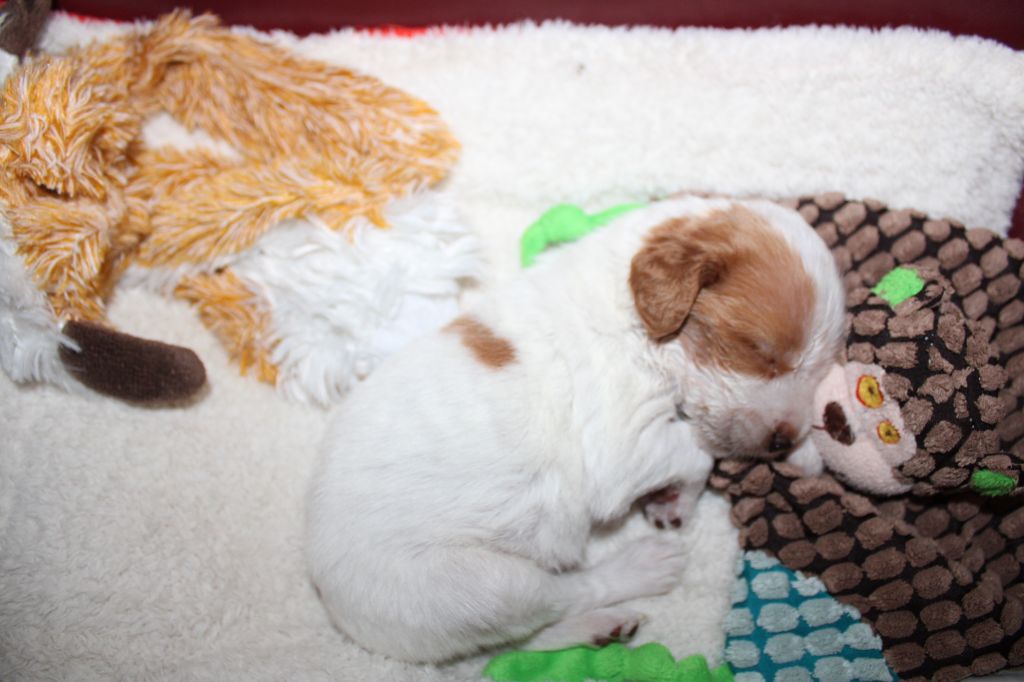 Tcho De La Vallée De La Py