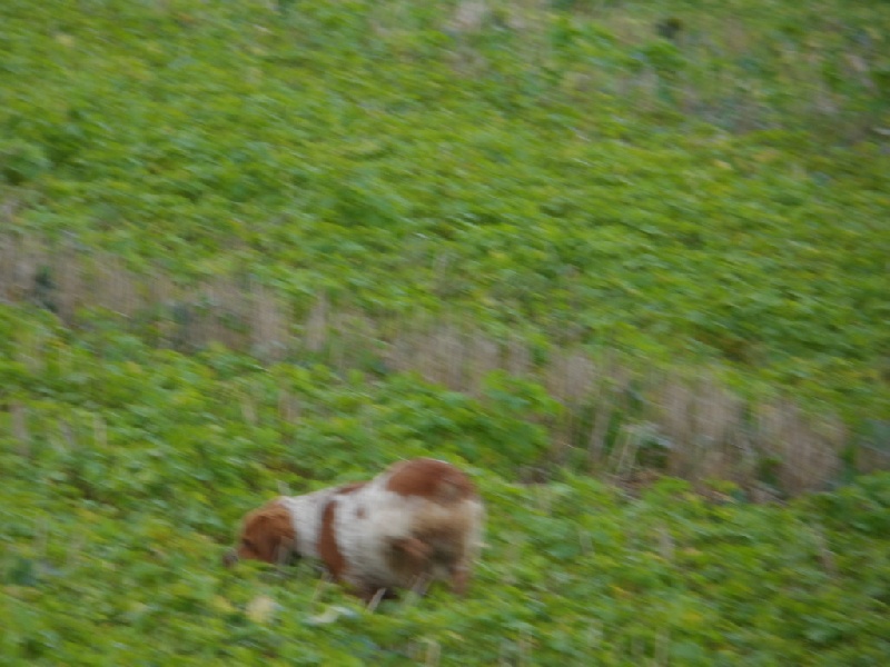 Hulma De La Vallée De La Py