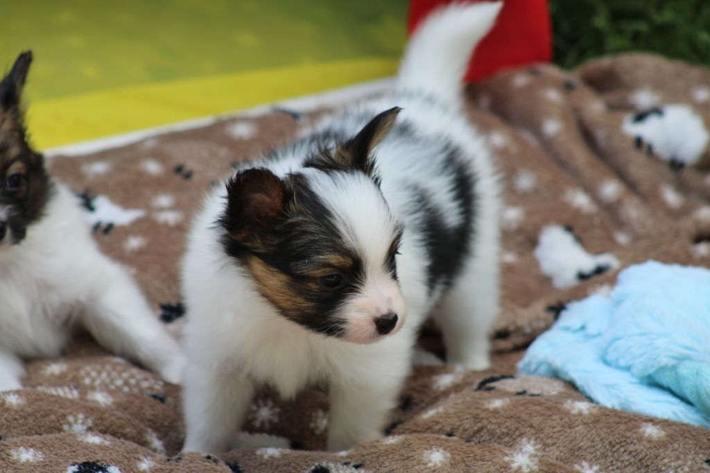 Ricky De La Vallée De La Py