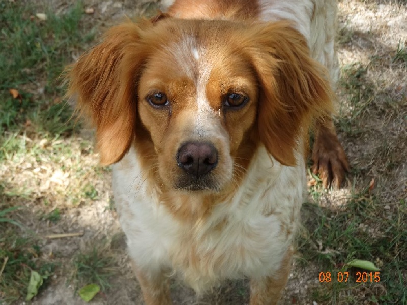 Hulma De La Vallée De La Py