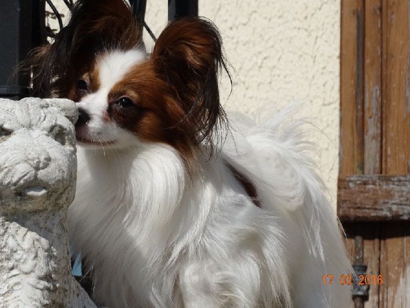 Jepp De La Vallée De La Py