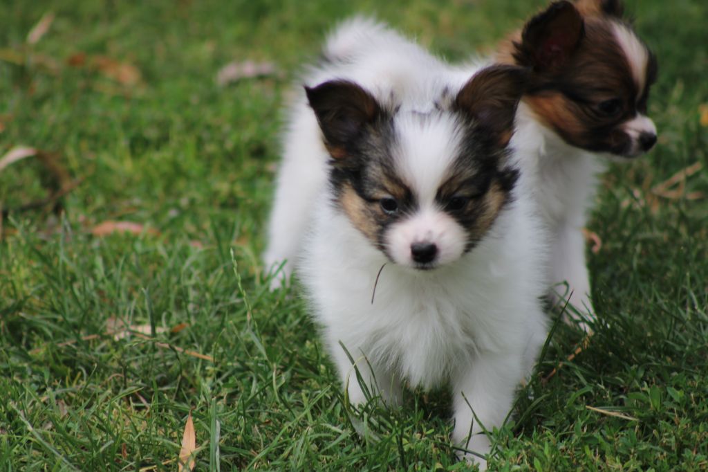 Ricky De La Vallée De La Py