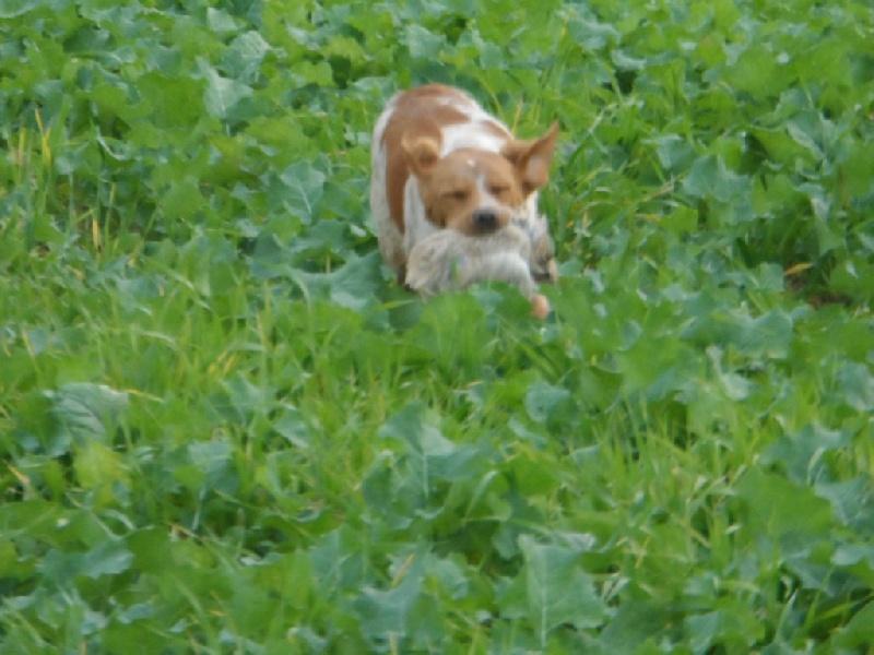 Hulma De La Vallée De La Py