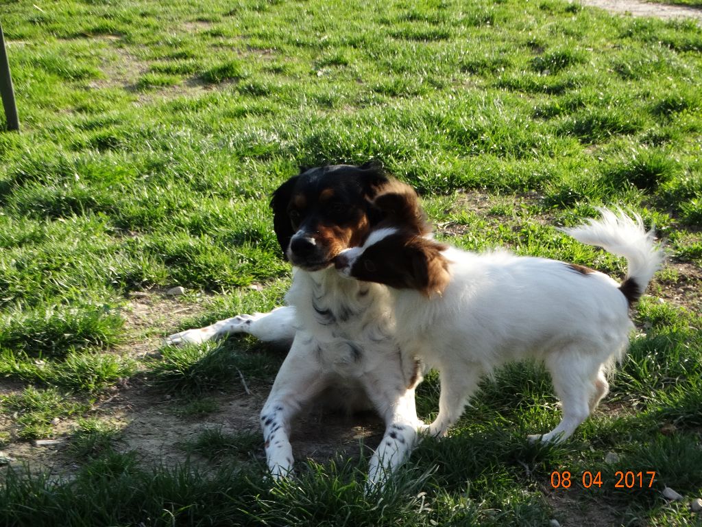 Mirabelle De La Vallée De La Py