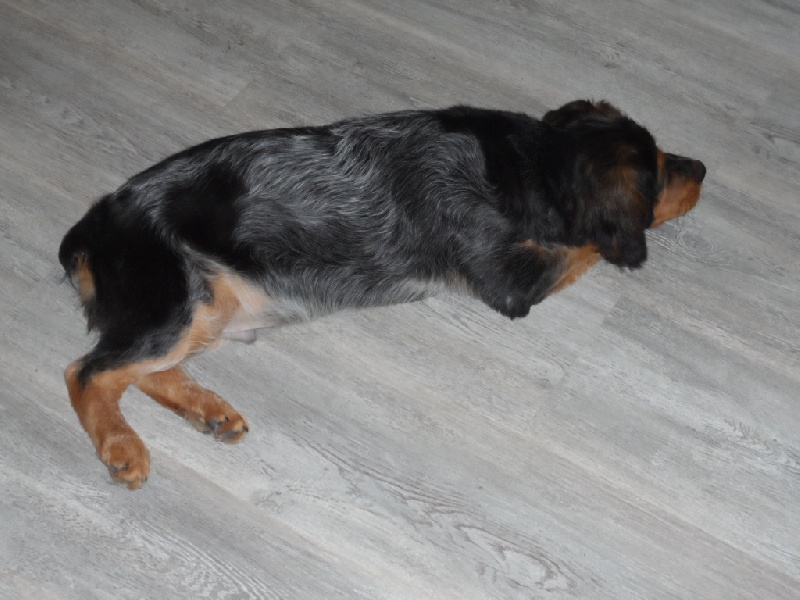 Harper De La Vallée De La Py