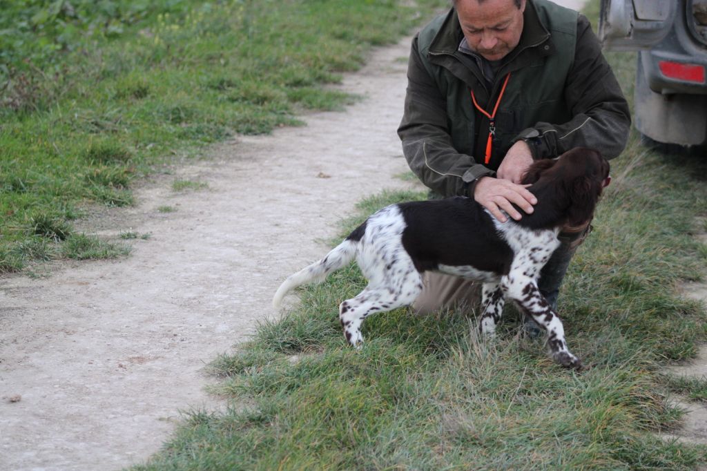 Alpha De La Vallée De La Py