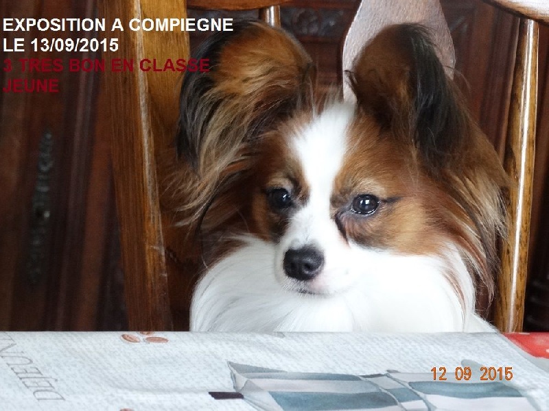 Jepp De La Vallée De La Py