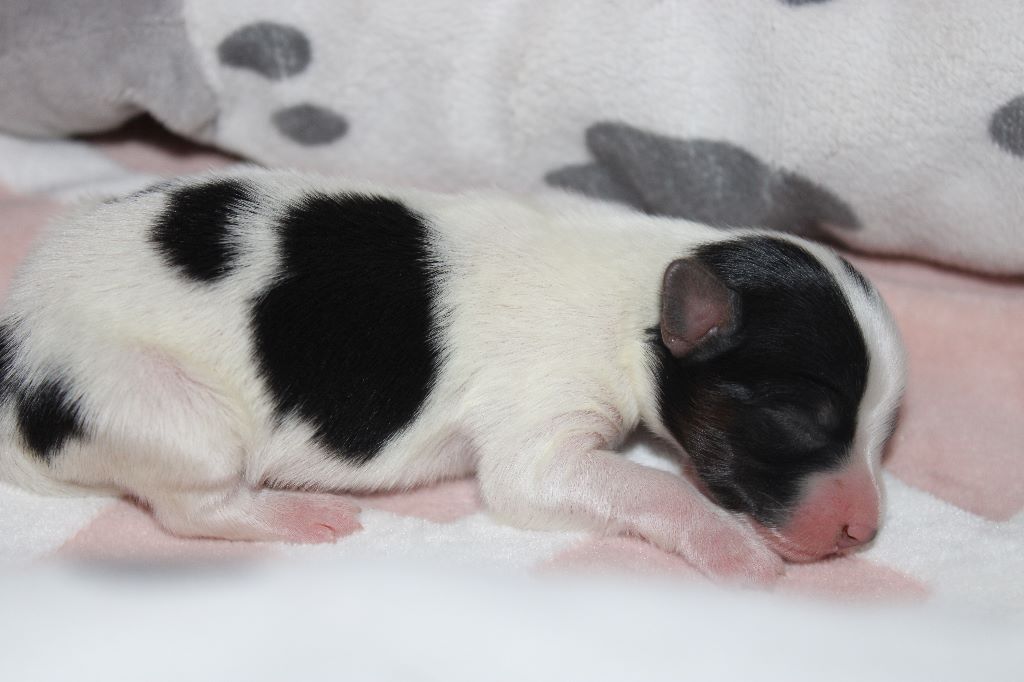 Ricky De La Vallée De La Py