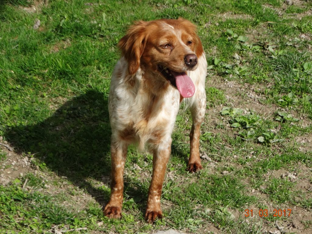 Hulma De La Vallée De La Py