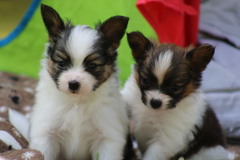 Ricky De La Vallée De La Py