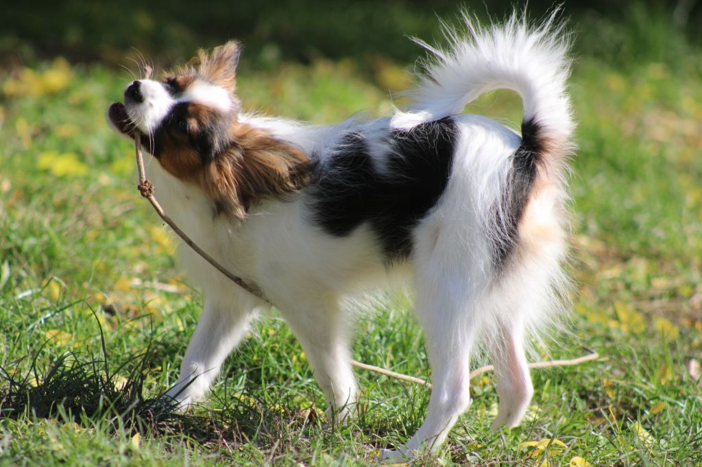 Ricky De La Vallée De La Py