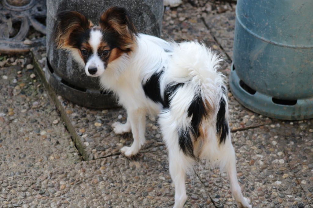 Ricky De La Vallée De La Py