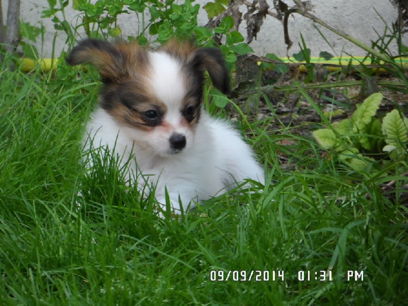 Jepp De La Vallée De La Py