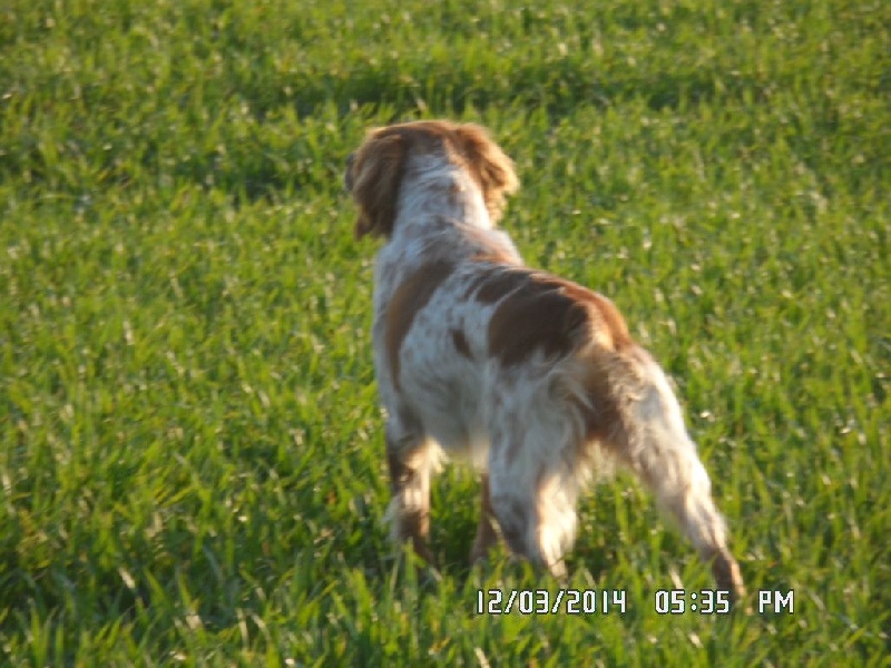 Hulma De La Vallée De La Py