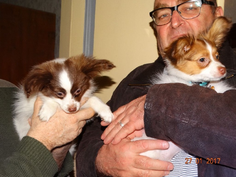 Mirabelle De La Vallée De La Py