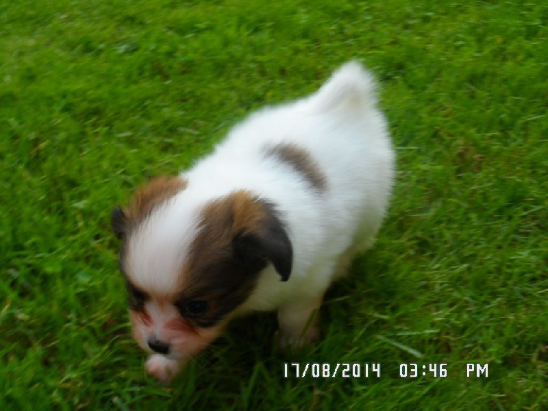 Jepp De La Vallée De La Py