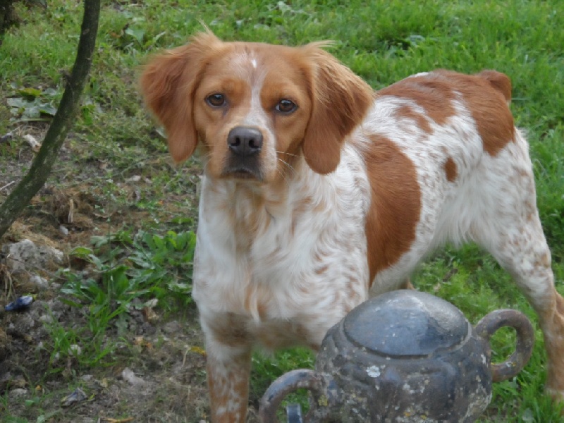 Hulma De La Vallée De La Py