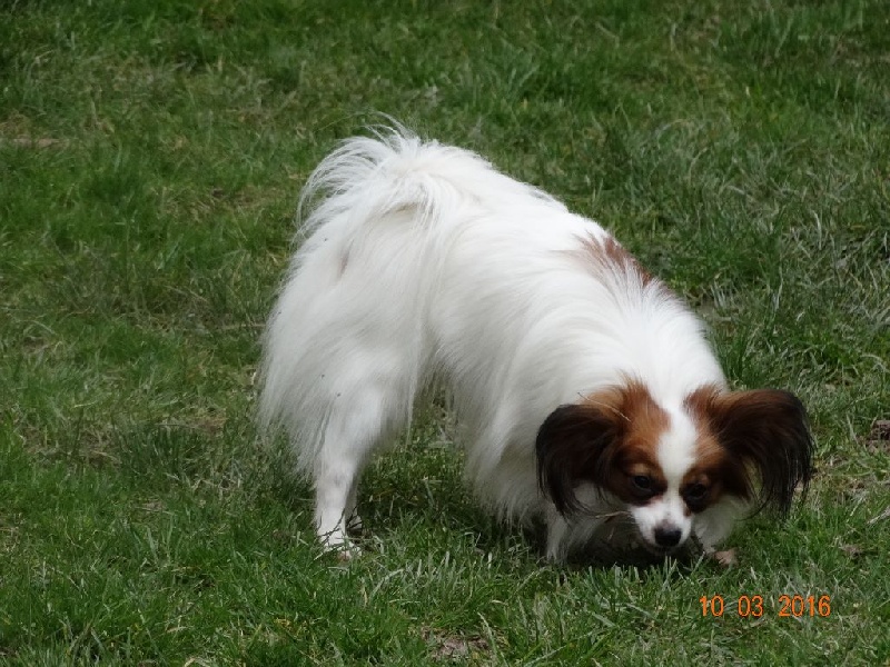 Jepp De La Vallée De La Py