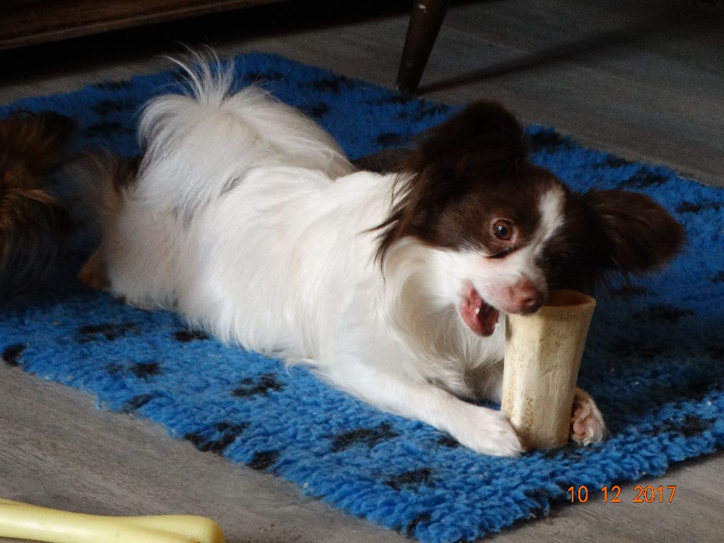 Mirabelle De La Vallée De La Py