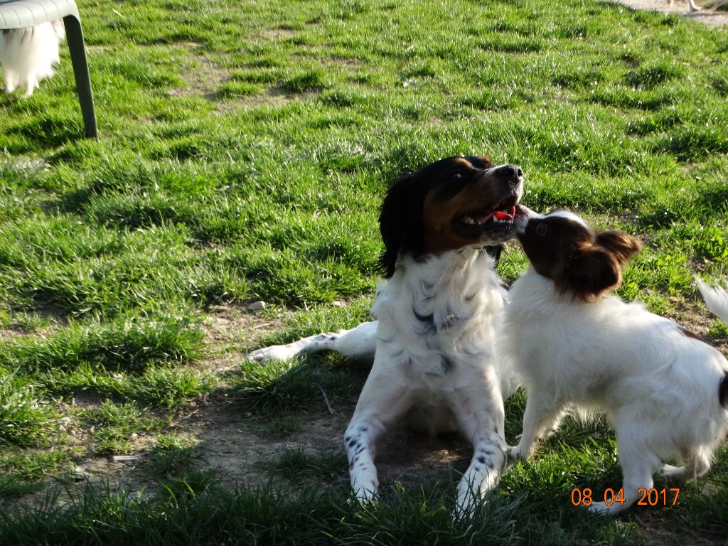 Mirabelle De La Vallée De La Py