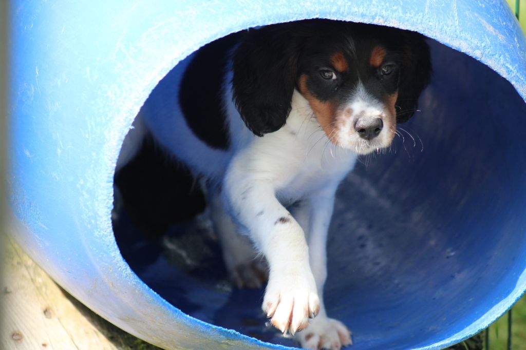 Vidoc De La Vallée De La Py