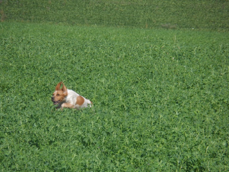 Hulma De La Vallée De La Py