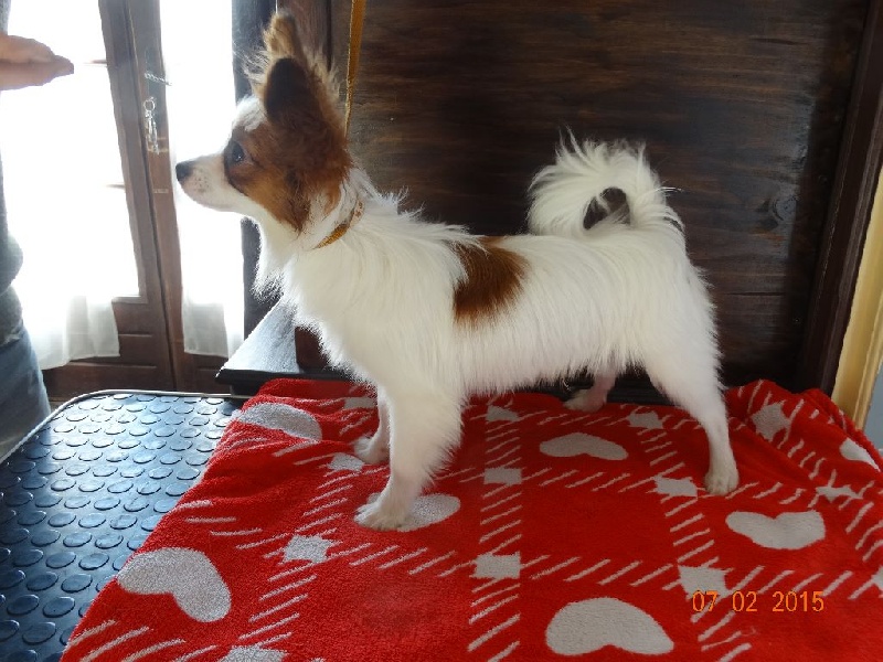 Jepp De La Vallée De La Py