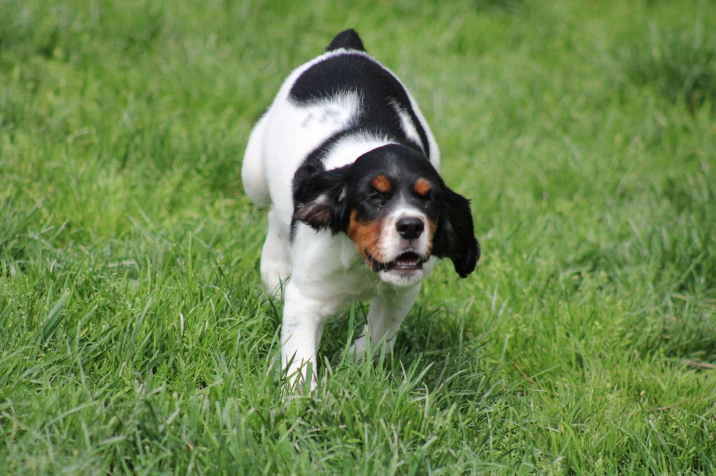 Vidoc De La Vallée De La Py