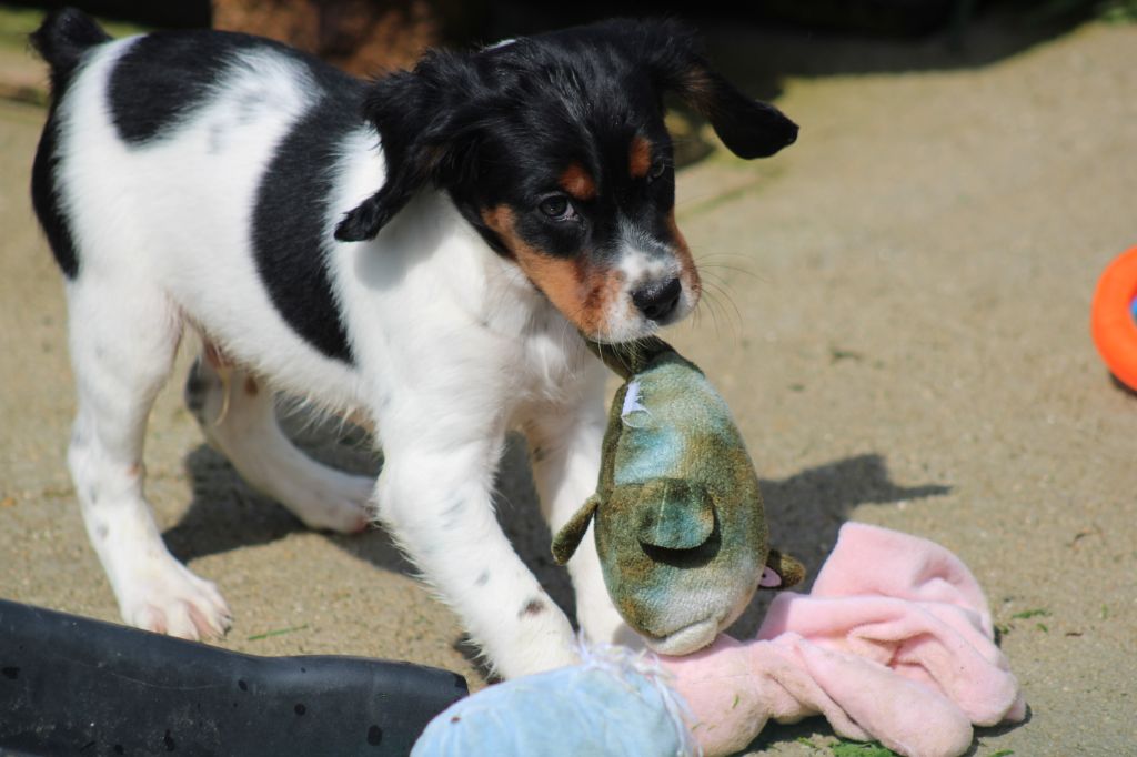 Vidoc De La Vallée De La Py